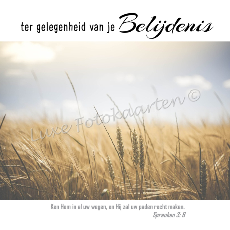 Belijdenis - graanhalmen